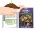Sunflower Flower Garden Seeds - Teddy Bear - 4 Oz - Annual Wildflower Gardening Seeds - Mountain Valley Seeds   566996887